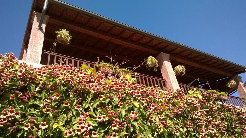 Bed And Breakfast Posserle Паденге сул Гарда Екстериор снимка